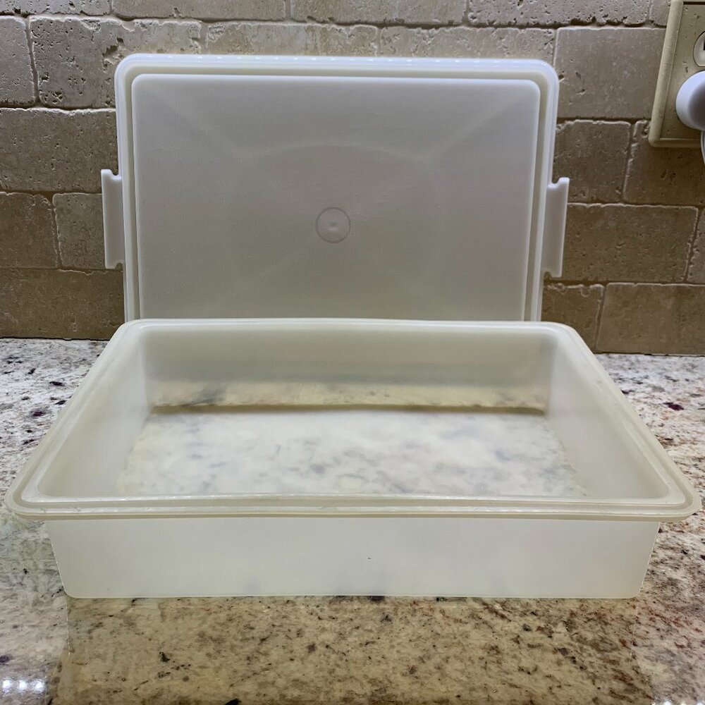 Vintage Tupperware Rectangle Cake Taker Carrier